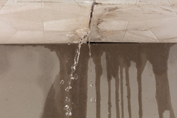 Professional Structural Drying technician working in Woodway, WA